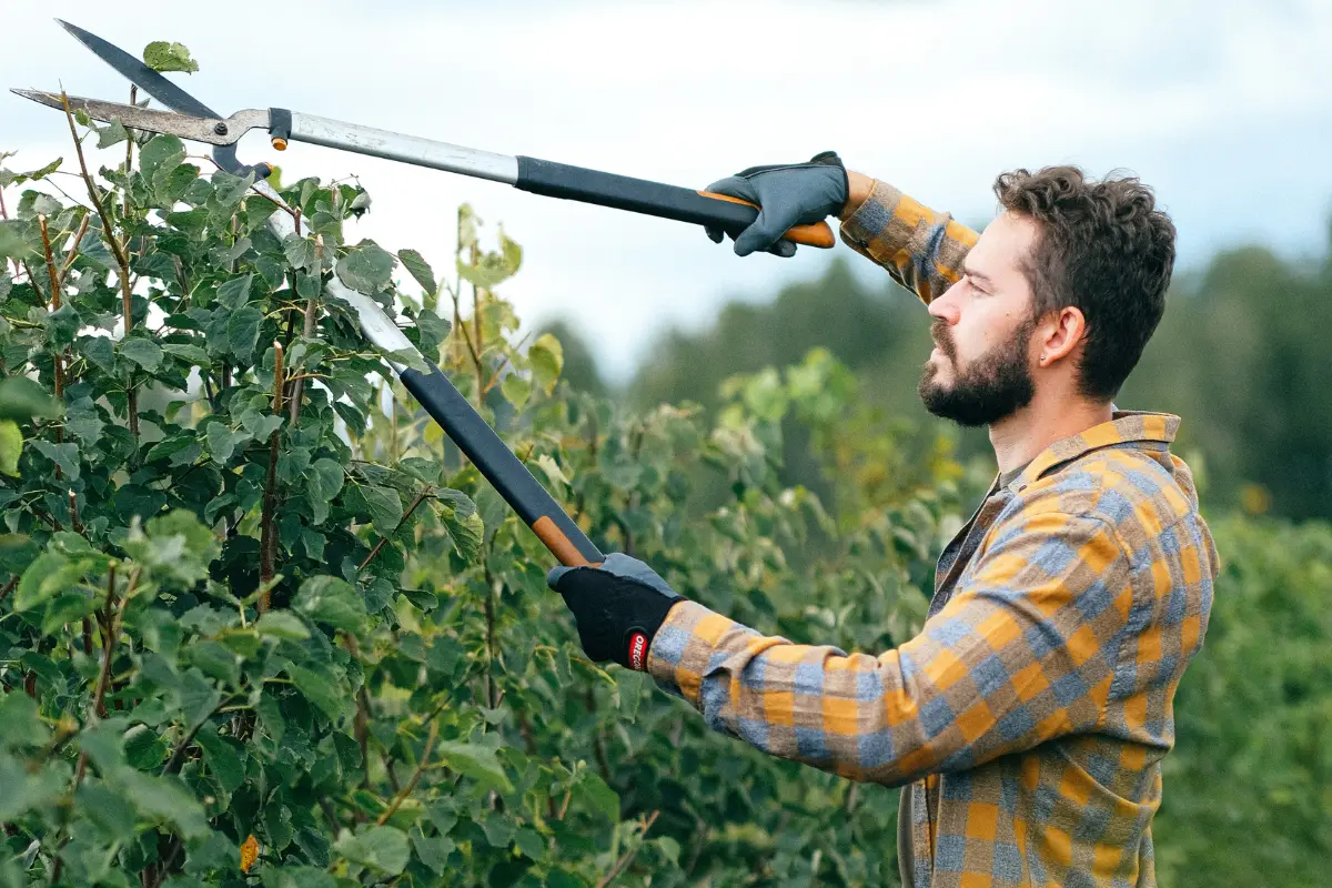 Insediamento Giovani Agricoltori 2023 - Regione Sicilia - Molo 4.0