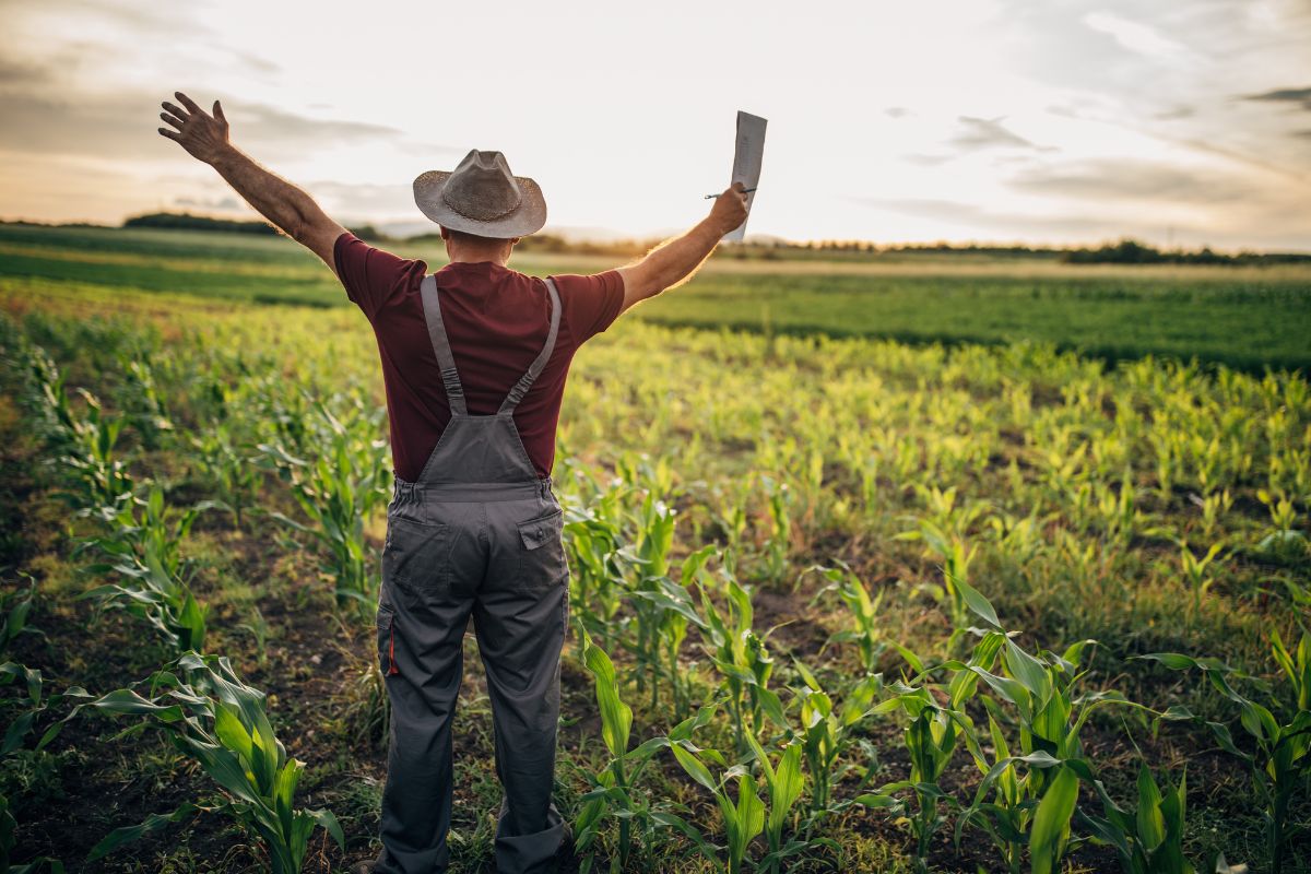 Insediamento Nuovi Agricoltori 2023 - Incentivi agricoltura - Molo 4.0